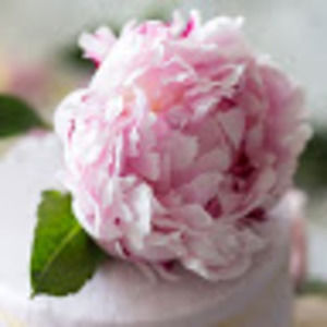 Meet your Posher, Janette